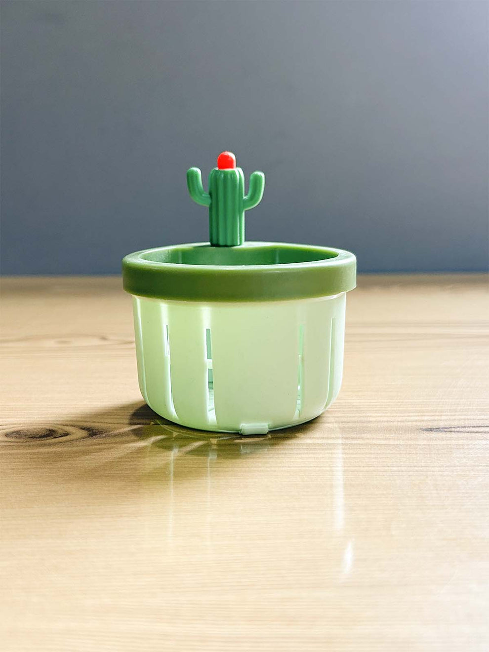 Cactus Kitchen Sink Drain Strainer – Food Waste Filter & Sink Protector